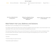 Tablet Screenshot of hairlosslegends.com